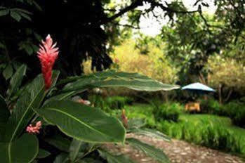 Casa Comalli & Spa Comala 外观 照片